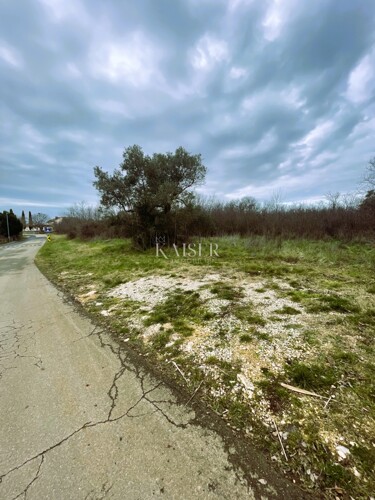Thumbnail 6218843 - 3