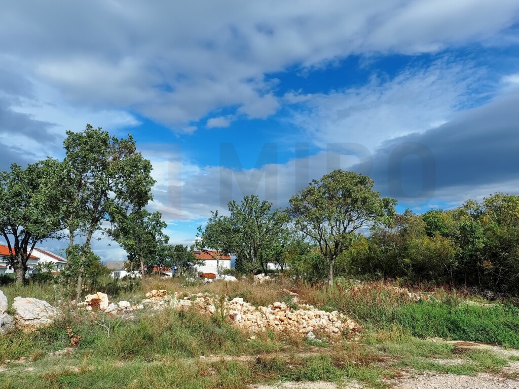 Image 6218863 - 2