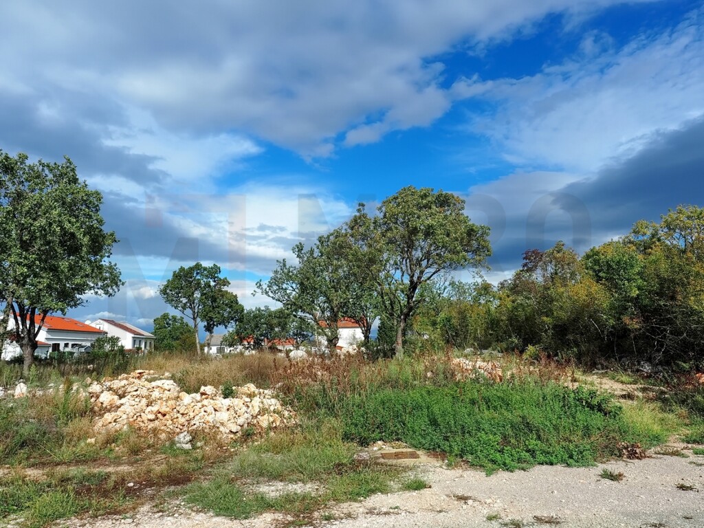 Image 6218863 - 1