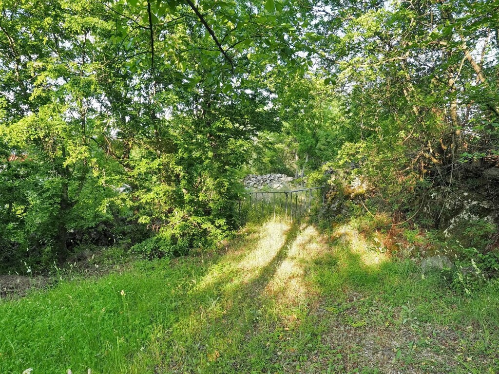 Image 6218864 - 1