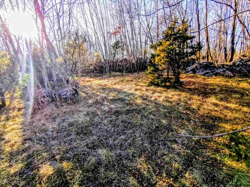 Image 6218873 - 2