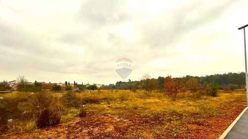 Thumbnail 6218899 - 5