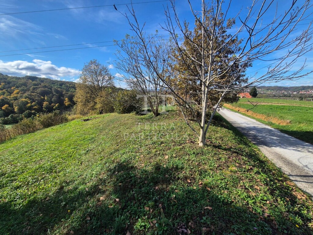 Image 6219258 - 6