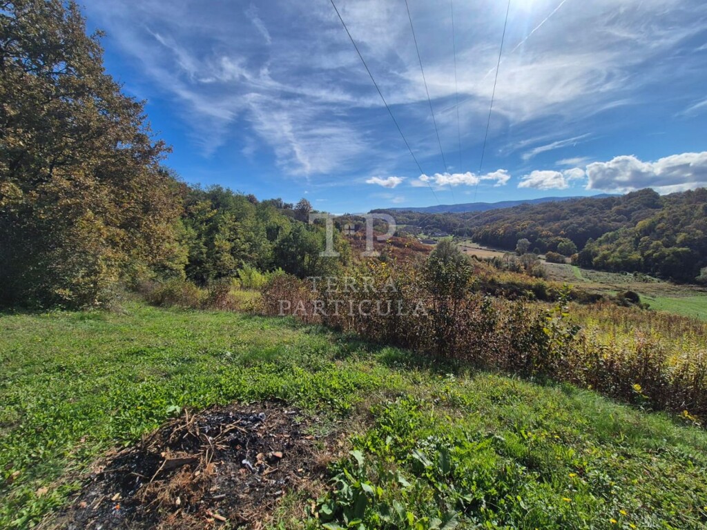 Image 6219258 - 8
