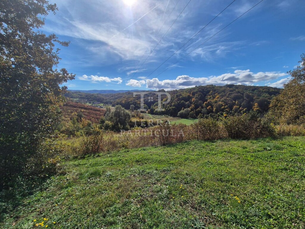 Image 6219258 - 1