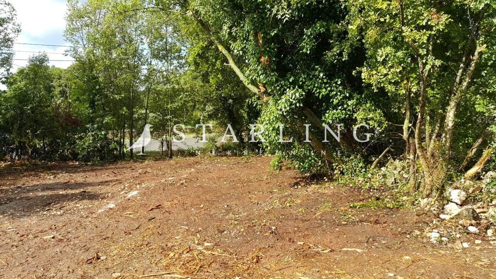 Image 6219266 - 2
