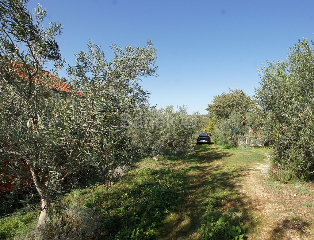 Image 6219311 - 2