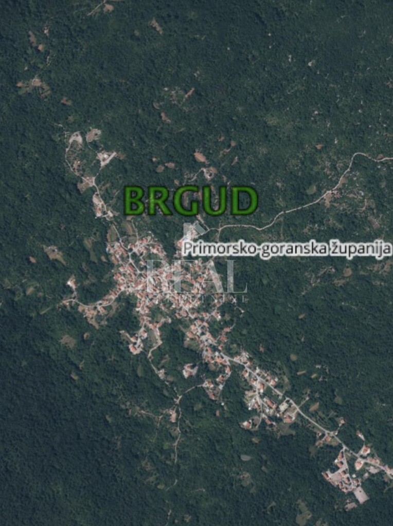 Image 6219332 - 1