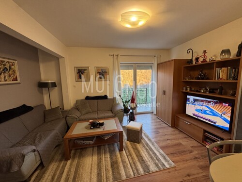 Thumbnail 6219406 - 1