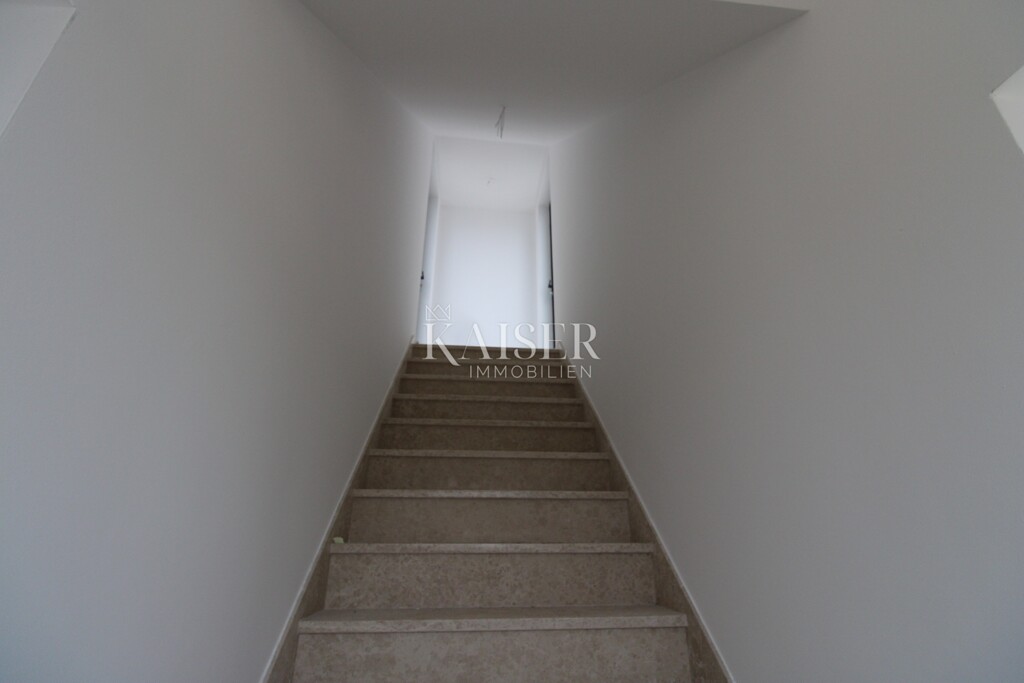 Image 6219432 - 10