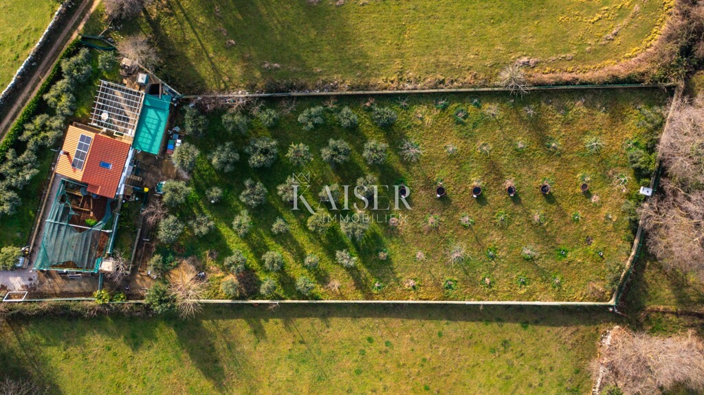 Image 6219435 - 2
