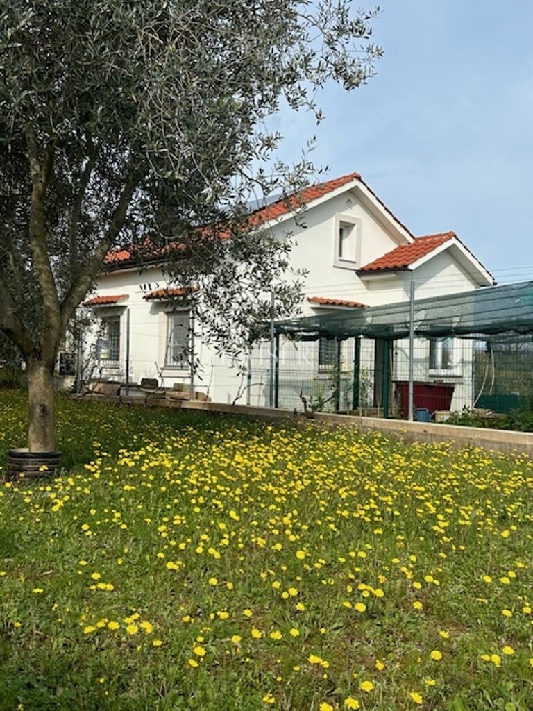 Image 6219435 - 7