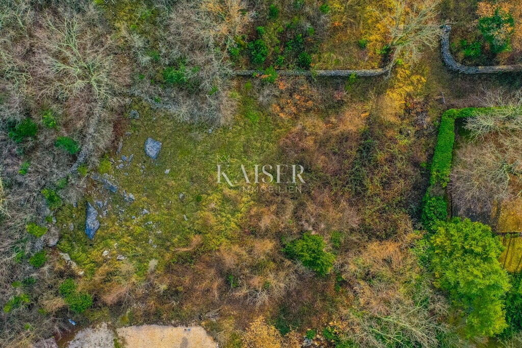 Image 6219440 - 2