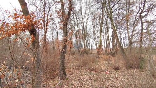 Thumbnail 6219468 - 3