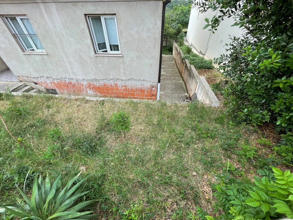 Image 6219480 - 16
