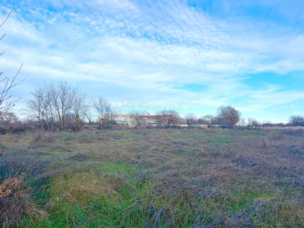 Image 6219755 - 10