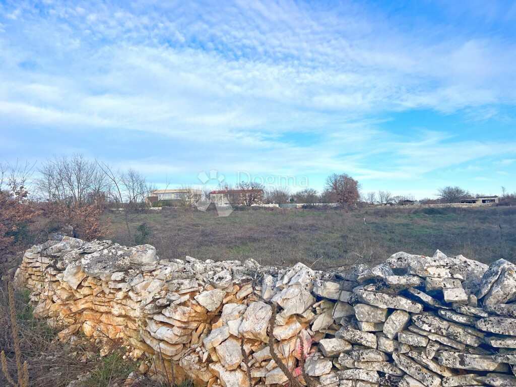Image 6219755 - 11