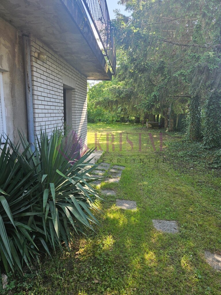 Image 6219886 - 33