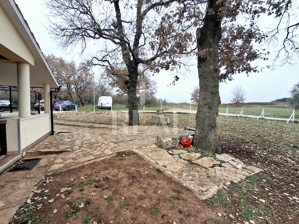 Image 6219907 - 4