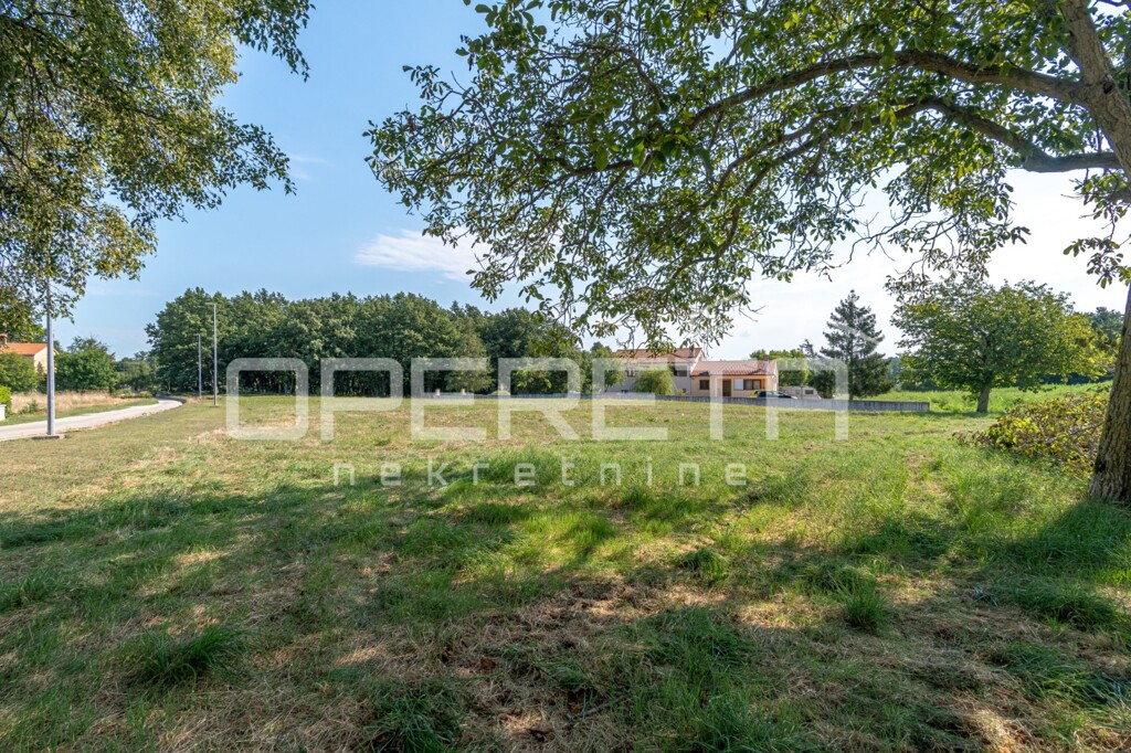 Image 6219965 - 3