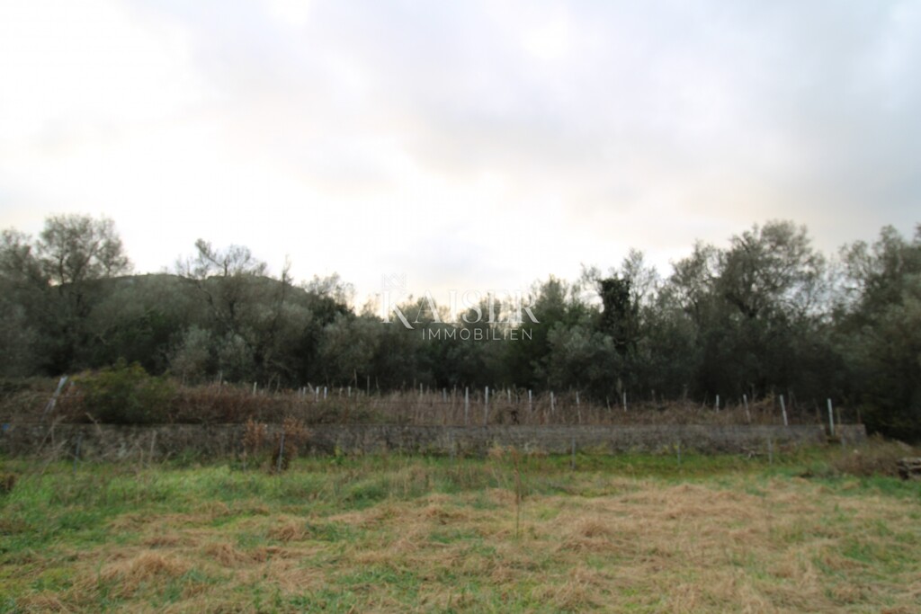Image 6220035 - 6