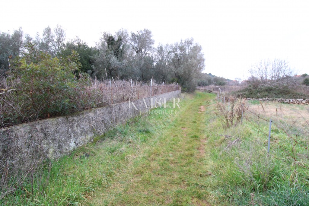 Image 6220035 - 5