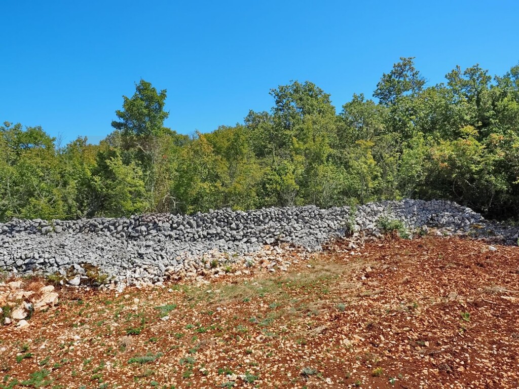 Image 6220064 - 1