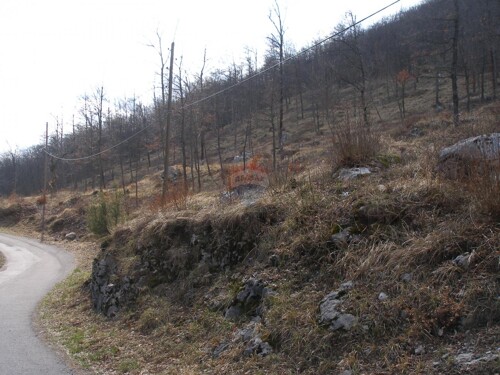 Thumbnail 6220066 - 3