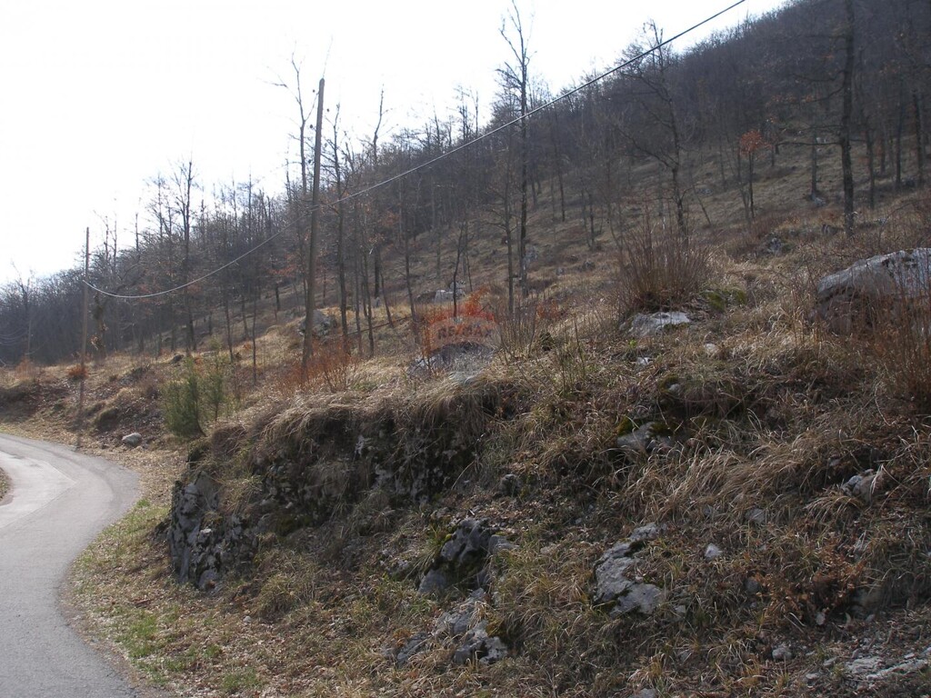 Image 6220066 - 3