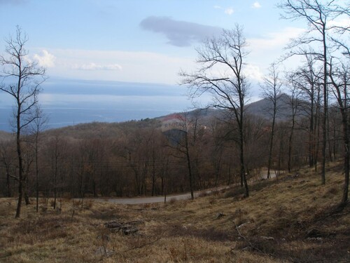 Thumbnail 6220066 - 1