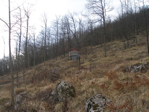 Thumbnail 6220066 - 4