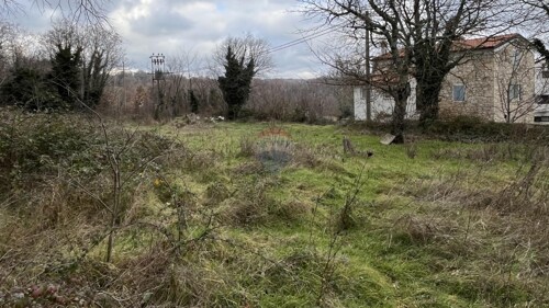 Thumbnail 6220067 - 2