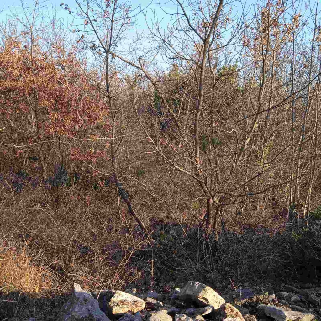 Image 6220095 - 2