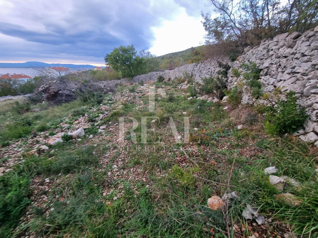 Image 6220587 - 11