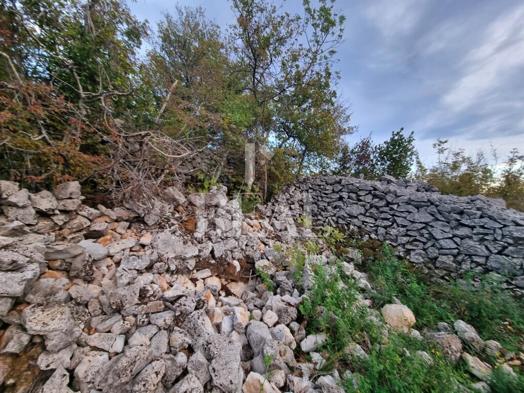 Image 6220587 - 10