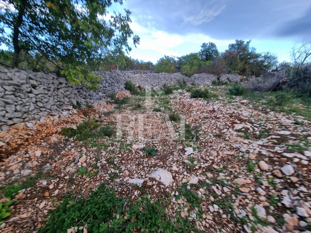 Image 6220587 - 7