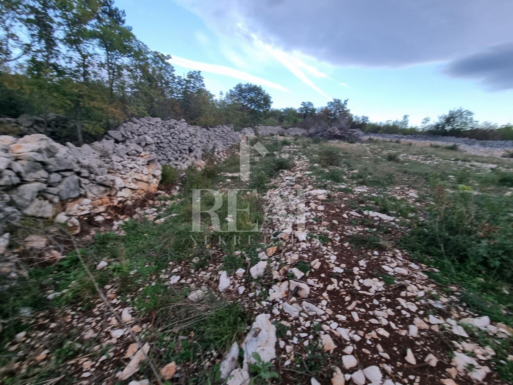 Image 6220587 - 13