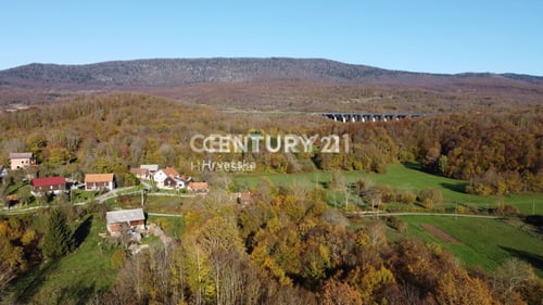 Thumbnail 23