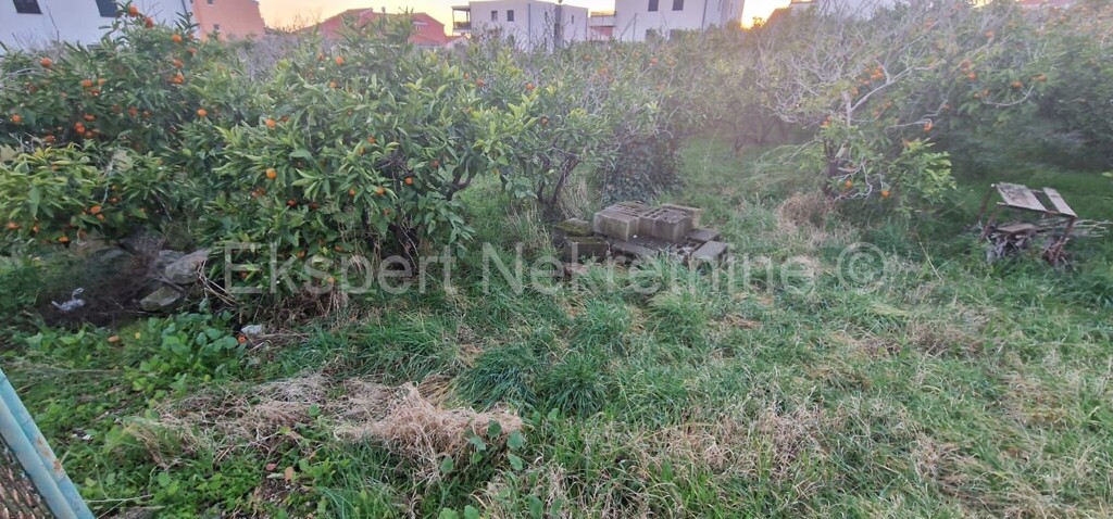 Image 6220594 - 1
