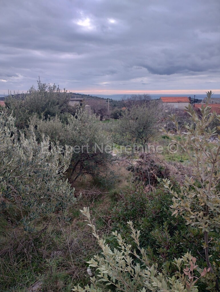 Image 6220599 - 2