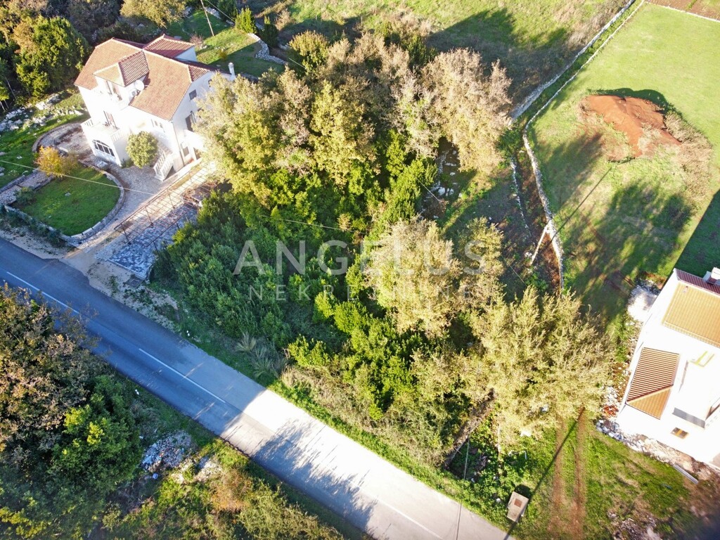 Image 6220628 - 2