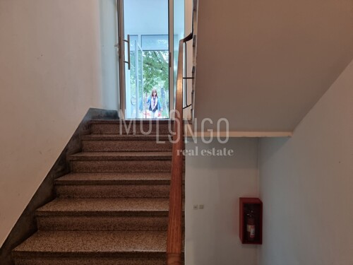 Thumbnail 6220646 - 12