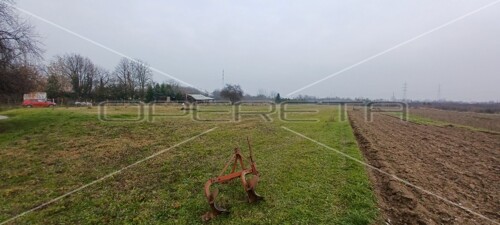 Thumbnail 6220649 - 4