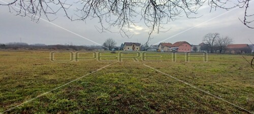 Thumbnail 6220649 - 2