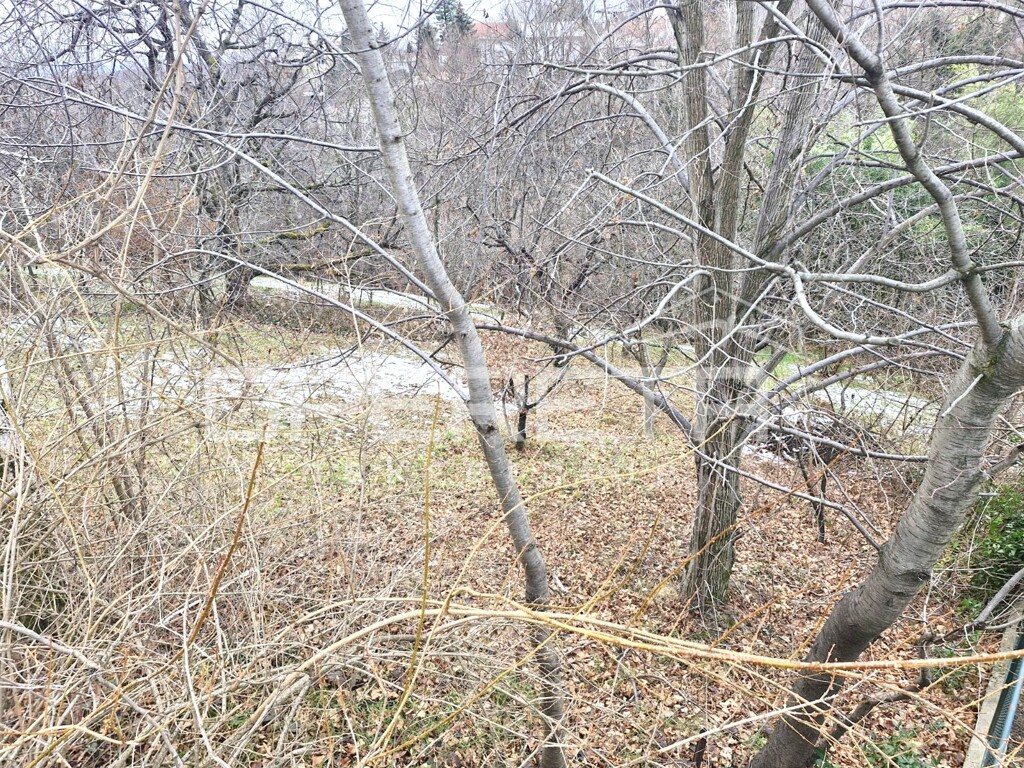 Image 6220651 - 3