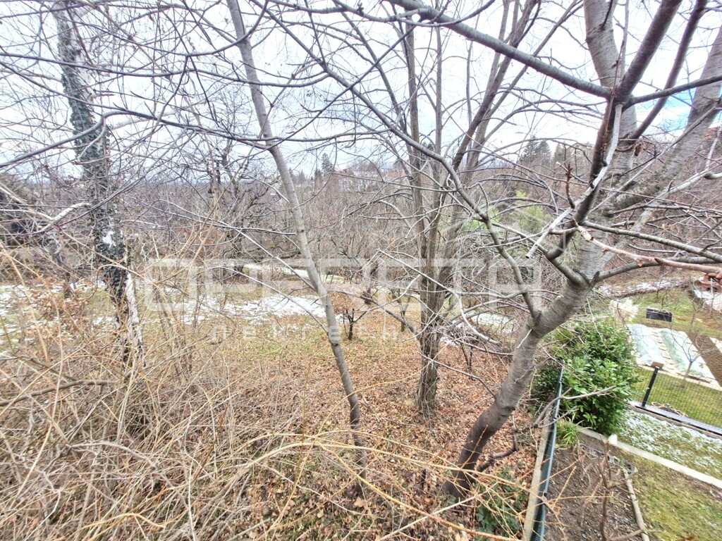Image 6220651 - 2