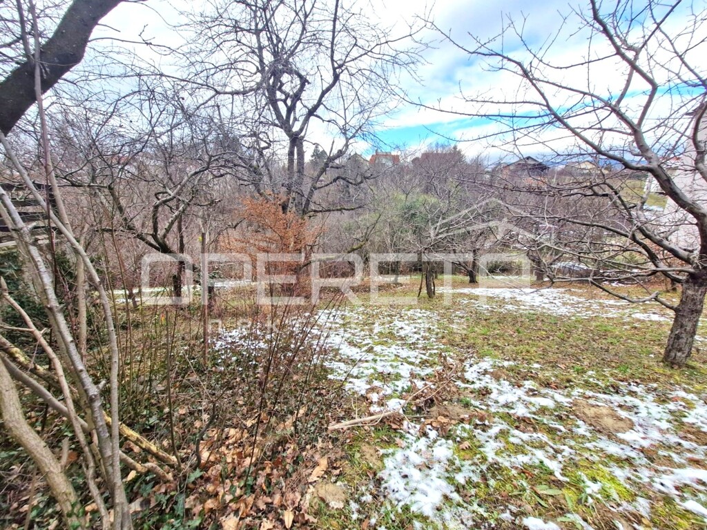 Image 6220651 - 1