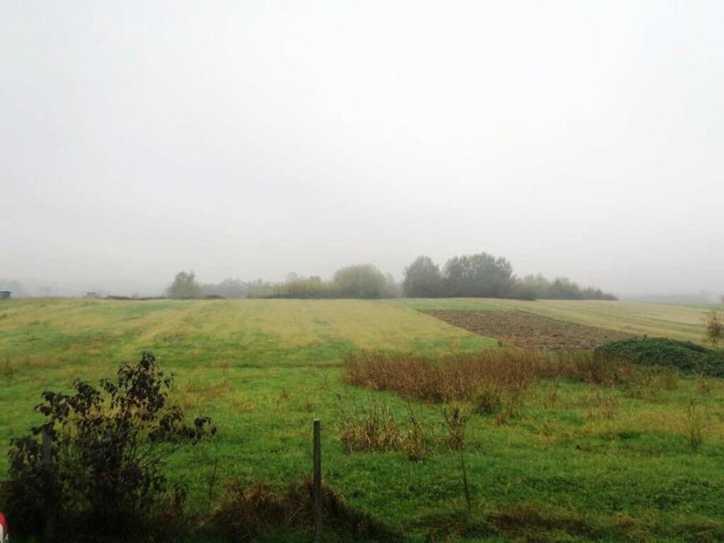 Image 6220770 - 4