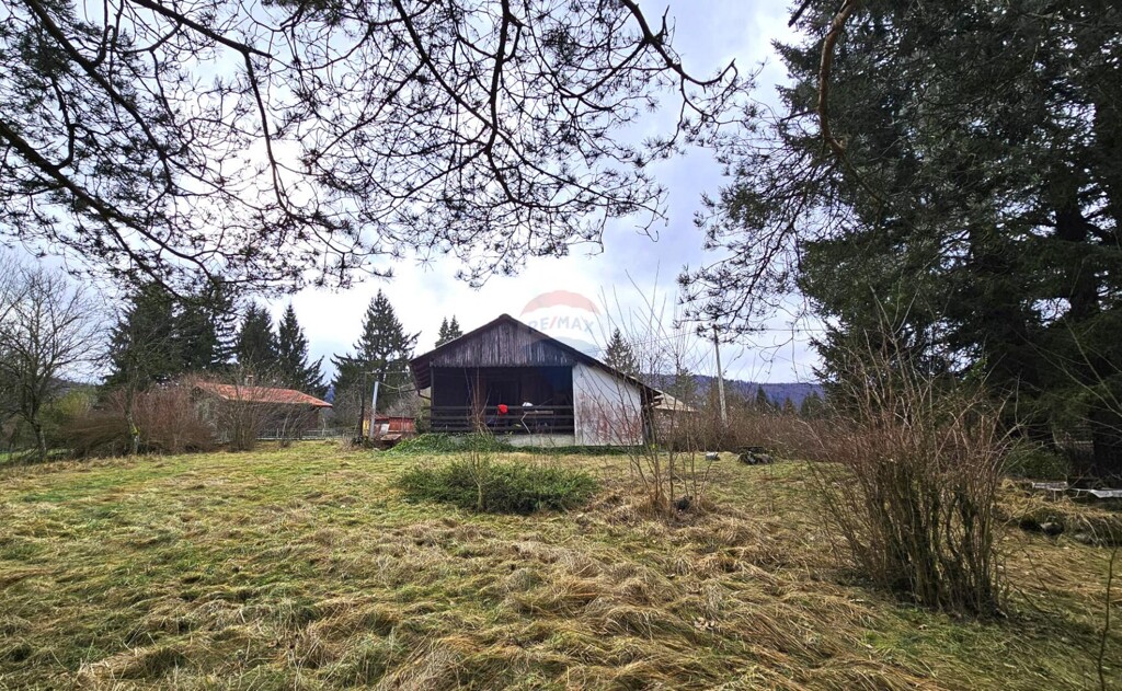 Image 6221013 - 1