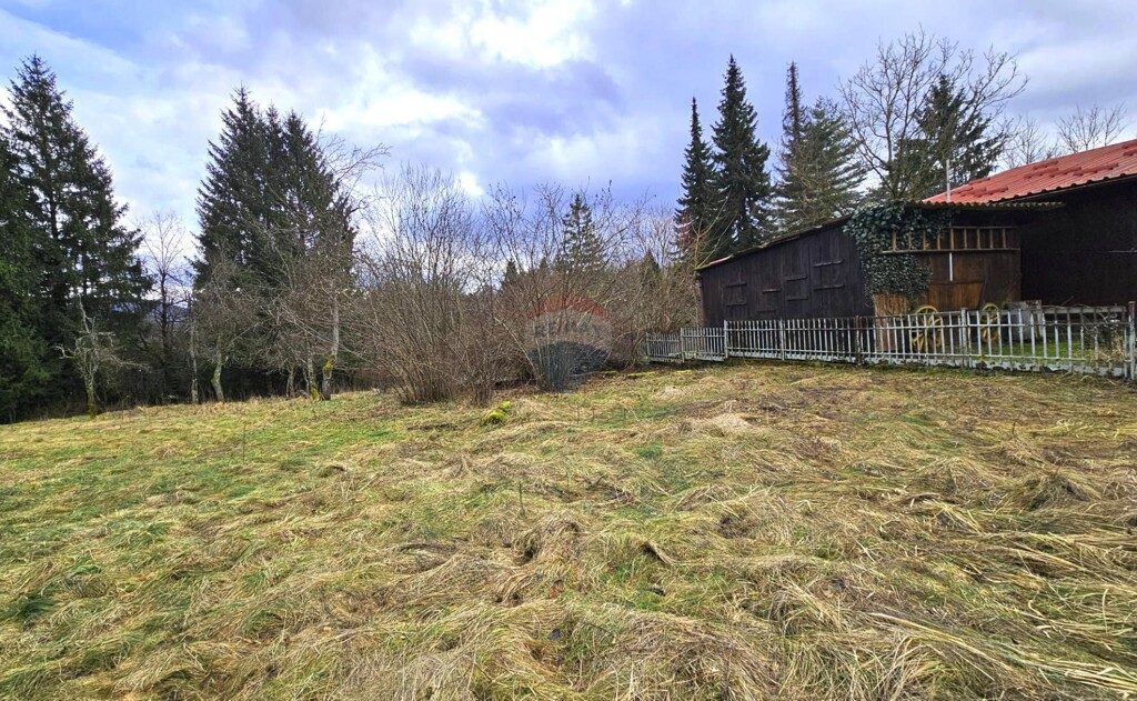 Image 6221013 - 4